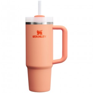 Stanley Quencher H2.0 Travel Tumbler | 30 OZ Nectarine | NZQIL-4675