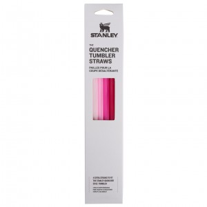 Stanley Replacement Straw 4 Pack | 30 oz Quencher Tumbler Rosas | CKYWD-0538