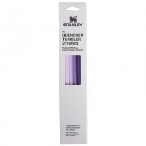 Stanley Replacement Straw 4 Pack | 30 oz Quencher Tumbler Morados | RETFW-1346