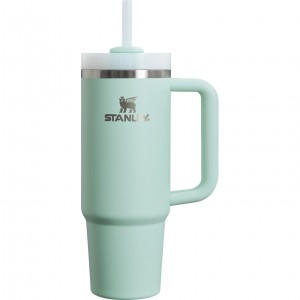 Stanley The Clean Slate Quencher H2.0 FlowState™ Tumbler | 30 OZ - Stanley Cre Verde Menta | TWEYK-5164