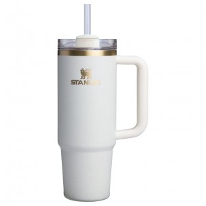 Stanley The Fall Refresh Quencher H2.O FlowState™ Tumbler I 30 OZ - Stanley Cr Creme | EUOCI-5408