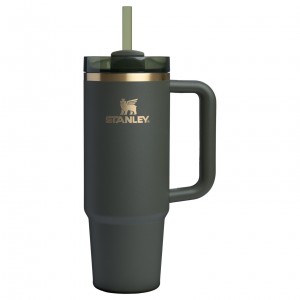 Stanley The Fall Refresh Quencher H2.O FlowState™ Tumbler I 30 OZ - Stanley Cr Cypress | IBLZX-4897