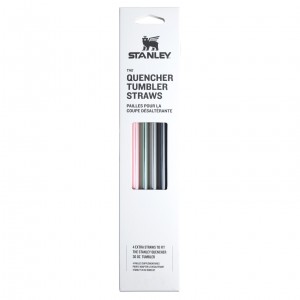 Stanley The Fall Refresh Replacement Straw 4 Pack | 30 oz Quencher Tumbler Fall Multi Pack | JMAEQ-9137