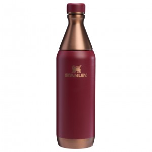 Stanley The Holiday All Day Slim Bottle | 20 OZ Gilded Pomegranate | TBHIG-6405