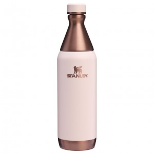 Stanley The Holiday All Day Slim Bottle | 20 OZ Gilded Sugar | IKMZS-0374