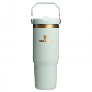 Stanley The Holiday IceFlow Flip Straw Tumbler | 30 OZ Gilded Celadon | IQJWB-6508