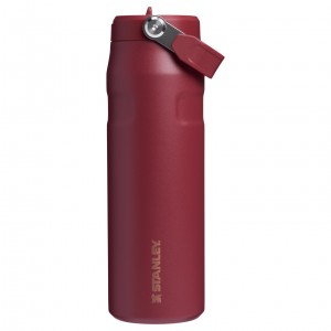 Stanley The Holiday IceFlow Water Bottle with Flip Straw Lid | 24 OZ Gilded Pomegranate | VMOLY-8973