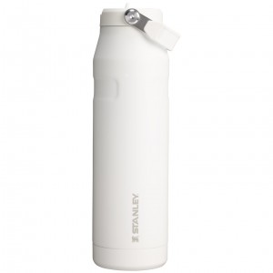 Stanley The IceFlow™ Bottle with Flip Straw Lid | 36 oz Frost | MJDOZ-0621