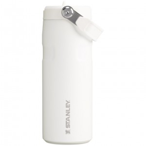 Stanley The IceFlow™ Bottle with Flip Straw Lid | 16 oz Frost | KDANO-2043