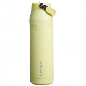 Stanley The IceFlow™ Bottle with Flip Straw Lid | 36 oz Pomelo | LVYDU-4923