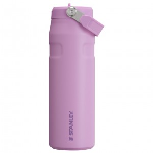 Stanley The IceFlow™ Bottle with Flip Straw Lid | 24 OZ Lilac | ILDUB-8602