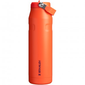 Stanley The IceFlow™ Bottle with Flip Straw Lid | 36 oz Tigerlily Plum | RFCZS-8912