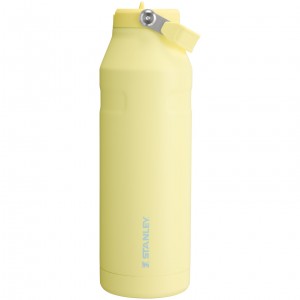 Stanley The IceFlow™ Bottle with Flip Straw Lid | 50 oz Pomelo | FGISV-5326