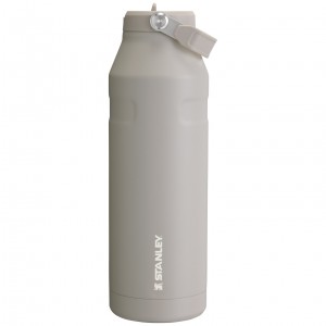 Stanley The IceFlow™ Bottle with Flip Straw Lid | 50 oz Ash | SJXHN-9561