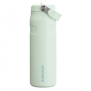 Stanley The IceFlow™ Bottle with Flip Straw Lid | 24 oz - Stanley Create Mist | UOMZB-5197