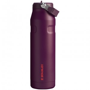 Stanley The IceFlow™ Bottle with Flip Straw Lid | 36 oz Plum | EFCUY-9561
