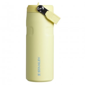 Stanley The IceFlow™ Bottle with Flip Straw Lid | 16 oz Pomelo | KUMYA-2491