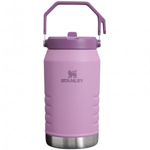 Stanley The IceFlow Flip Straw Jug | 64 OZ | Insulated Water Jug Lilac | FKSZD-6582