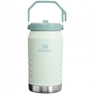 Stanley The IceFlow Flip Straw Jug | 64 OZ | Insulated Water Jug Mist | KZUIC-0854