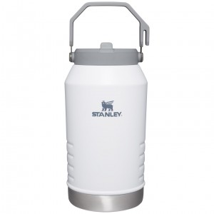 Stanley The IceFlow Flip Straw Jug | 96 OZ | Insulated Water Jug Polar | DIQSC-9438