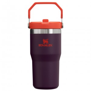 Stanley The IceFlow Flip Straw Tumbler | 20 OZ | Insulated Agua Bottle Plum | IWLHE-1567