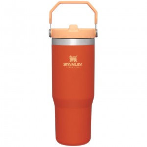 Stanley The IceFlow Flip Straw Tumbler | 30 OZ | Insulated Water Tigerlily | QOEVR-8190