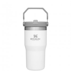 Stanley The IceFlow Flip Straw Tumbler | 20 OZ | Insulated Agua Bottle Polar | GVTJM-3759
