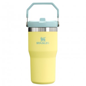 Stanley The IceFlow Flip Straw Tumbler | 20 OZ | Insulated Agua Bottle Pomelo | ZTPUR-2746