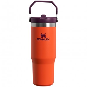 Stanley The IceFlow Flip Straw Tumbler | 30 OZ | Insulated Water Tigerlily Plum | AQRHU-7940