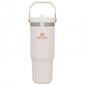 Stanley The IceFlow Flip Straw Tumbler | 30 OZ | Insulated Water Rosas | VBUZH-3604