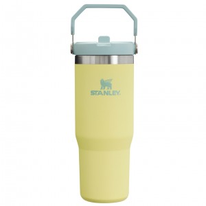 Stanley The IceFlow Flip Straw Tumbler | 30 OZ | Insulated Water Pomelo | JNFYH-8629