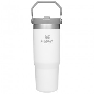 Stanley The IceFlow Flip Straw Tumbler | 30 OZ | Insulated Water Polar | BKSZP-5397
