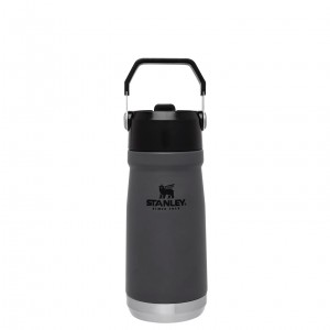 Stanley The IceFlow Flip Straw Water Bottle | 17 OZ | Insulated Bottle | Stanl Charcoal | AOZIT-7316