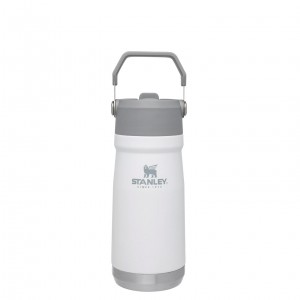 Stanley The IceFlow Flip Straw Water Bottle | 17 OZ | Insulated Bottle | Stanl Polar | VTCWK-5609