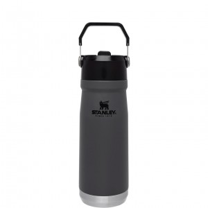 Stanley The IceFlow Flip Straw Water Bottle | 22 OZ | Insulated Bottle | Stanl Charcoal | VFPAL-4190