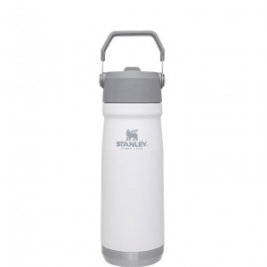 Stanley The IceFlow Flip Straw Water Bottle | 22 OZ | Insulated Bottle | Stanl Polar | KGXEM-7025