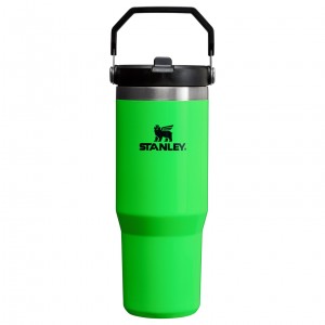 Stanley The Neon IceFlow™ Flip Straw Tumbler | 30 OZ - Stanley Create Verdes | VQXZP-7106