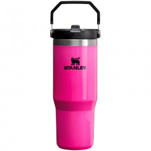 Stanley The Neon IceFlow™ Flip Straw Tumbler | 30 OZ Rosas | JZTSP-5186