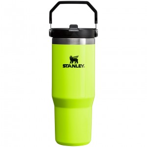 Stanley The Neon IceFlow™ Flip Straw Tumbler | 30 OZ Amarillos | GVHYJ-2567