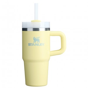 Stanley The Quencher H2.O FlowState™ Tumbler with Handle & Straw | 14 OZ Pomelo | RDJGL-7035