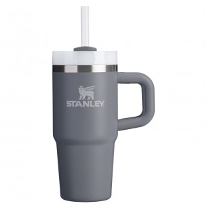 Stanley The Quencher H2.O FlowState™ Tumbler with Handle & Straw | 14 OZ Stone | ZKMCH-5832