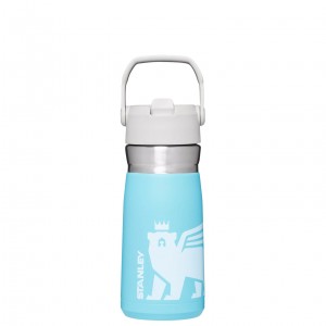 Stanley The Wild Imagination IceFlow Flip Straw Water Bottle | 17 OZ Pool Cub | PLUSR-2976