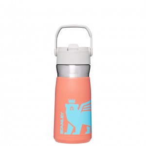 Stanley The Wild Imagination IceFlow Flip Straw Water Bottle | 17 OZ Grapefruit Cub | CEJBY-6029
